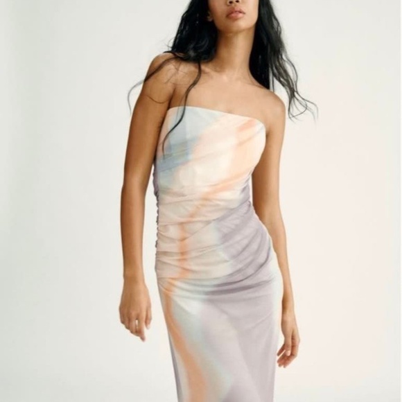 Zara Dresses & Skirts - Zara Printed Mesh Tulle Dress